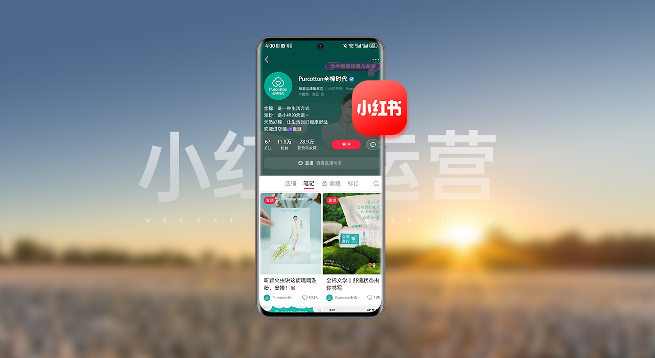 连云港小红书运营