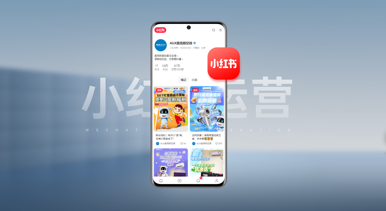 连云港小红书优化