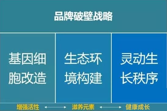 高端网站设计
