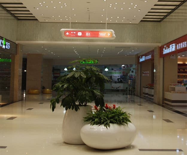 高端网站设计